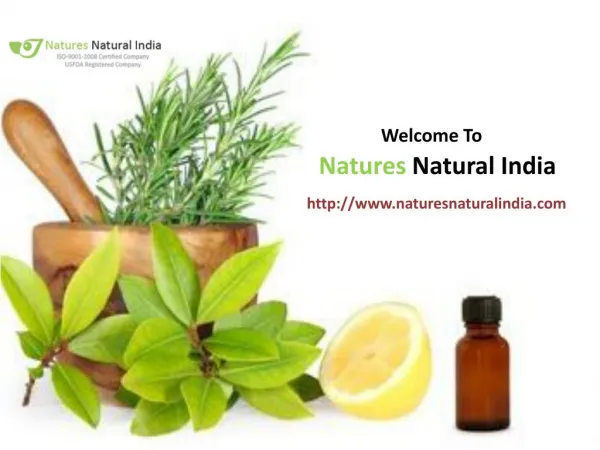 Natures Naural India online Oil Suppliers