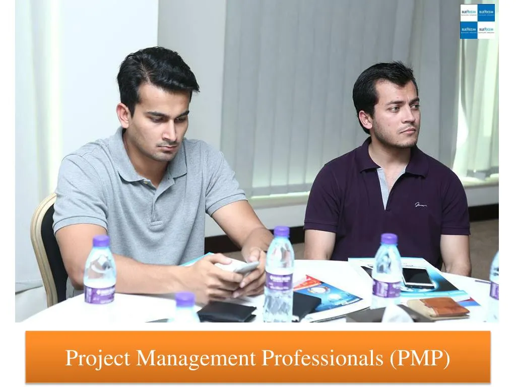 project management professionals pmp