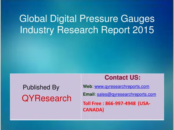Global Digital Pressure Gauges Market 2015 Industry Growth, Trends, Analysis, Research and Development