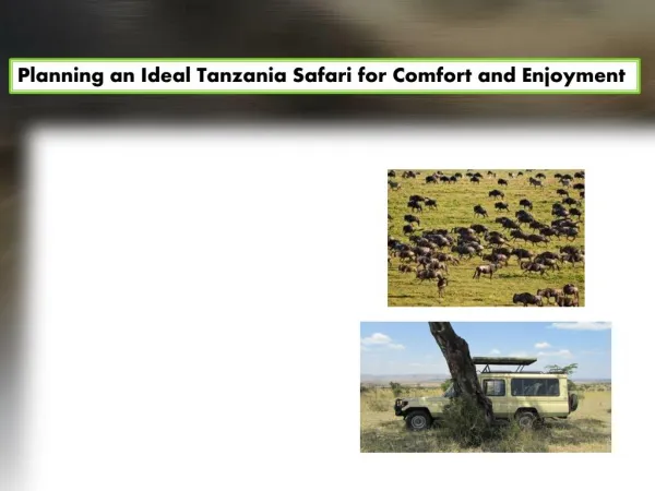 Planning an Ideal Tanzania Safari for Comfort and Enjoyment