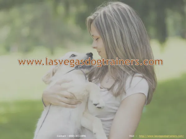 Las Vegas Dog Trainers