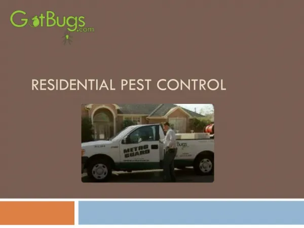 Residential Pest Control