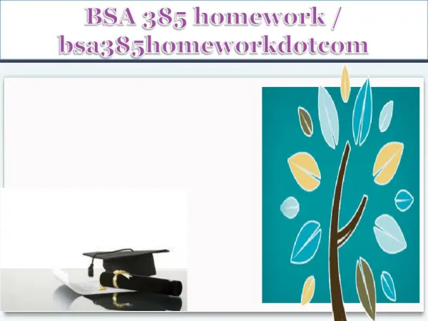 BSA 385 homework / bsa385homeworkdotcom
