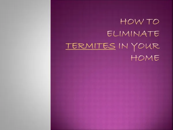 How to eliminate termites in your home