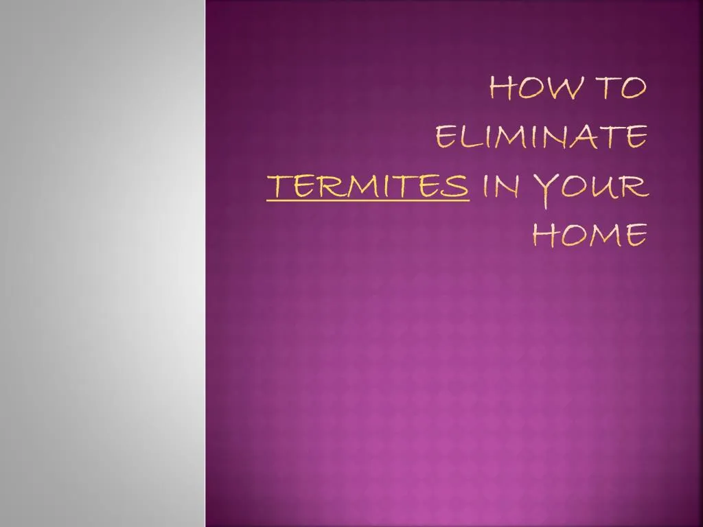 how to eliminate termites in your home