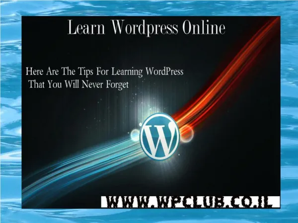 WordPress Course | WordPress Course Online