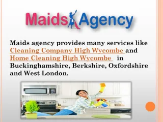 domestic cleaning Slough - slide 1