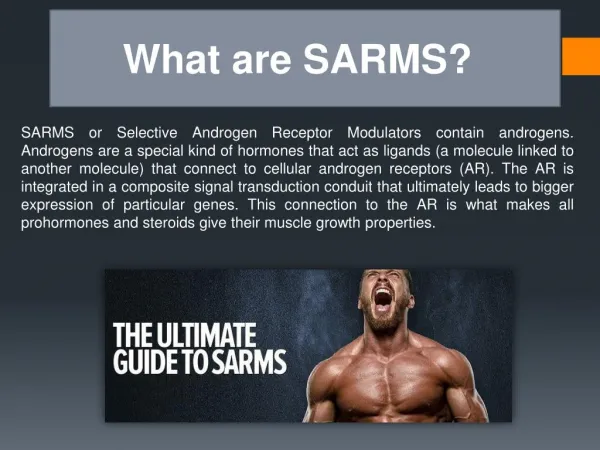 The Ultimate Guide to Sarms