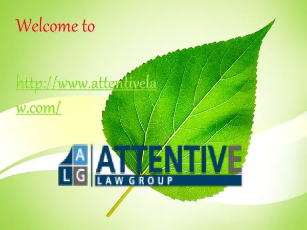 Expert Business lawyer And Attorney in Ashburn
