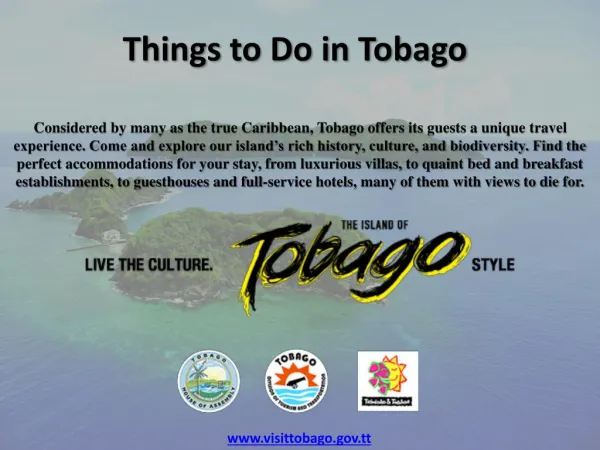 Things To Do In Tobago
