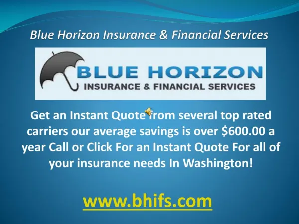 Blue horizon insurance & financial services washington