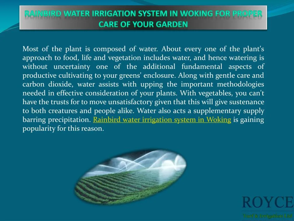 rainbird water irrigation system in woking for proper care of your garden
