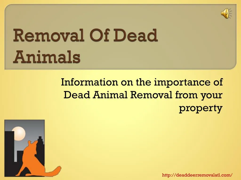 removal of dead animals