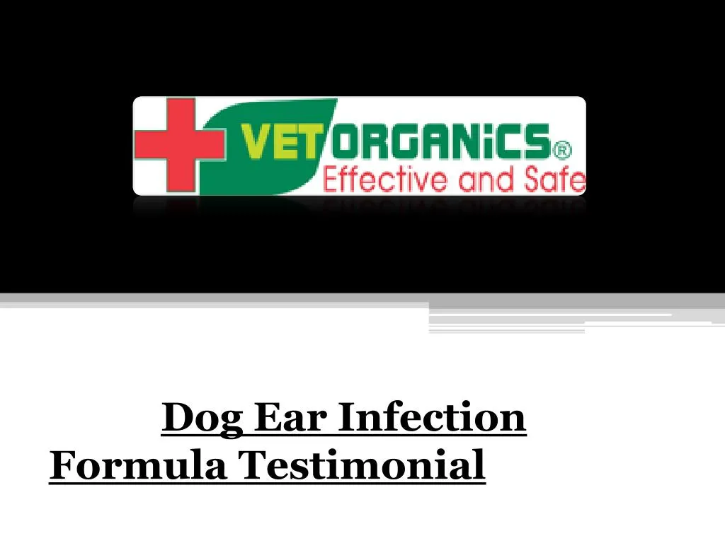 dog ear infection formula testimonial