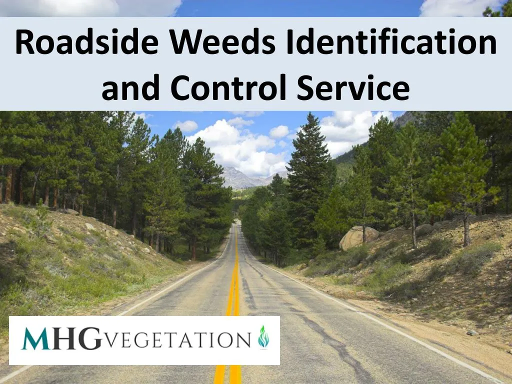 roadside weeds identification and control service