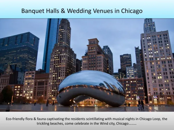 Banquet halls, party halls, wedding venues in Chicago