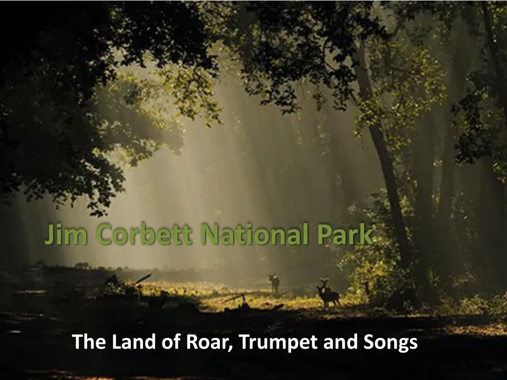 jim corbett national park