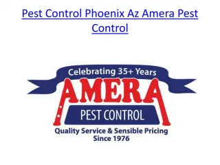 Pest Control Phoenix Az Amera Pest Control - slide 1