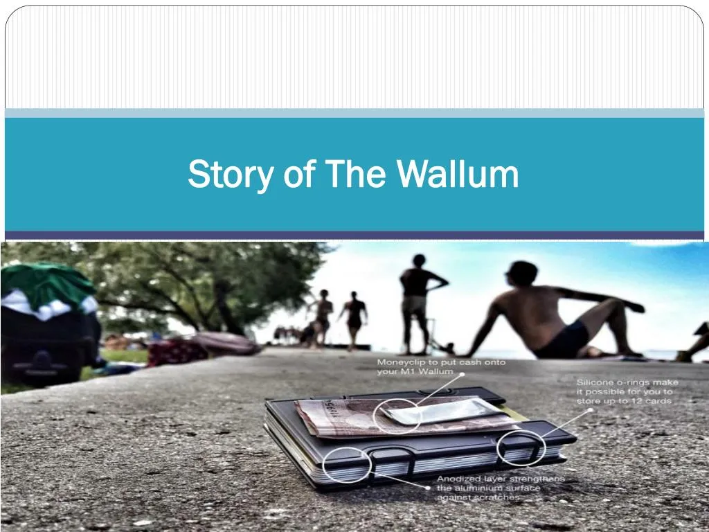 story of the wallum