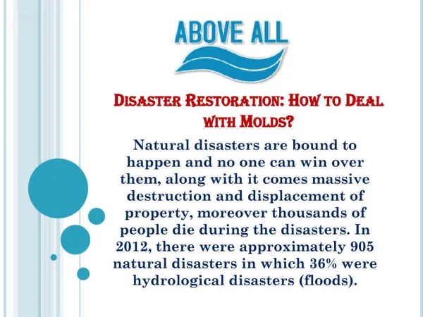 Disaster Restoration: How to Deal with Molds?