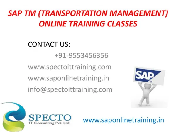 Sap tm online training classes in USA