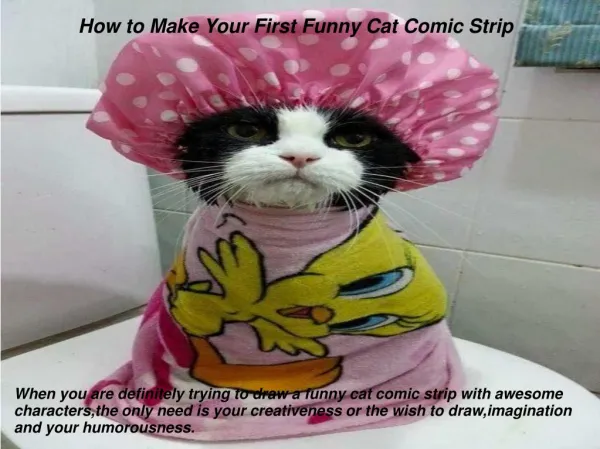 How to Make Your First Funny Cat Comic Strip