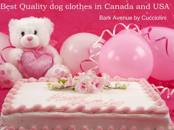 Best Quality dog clothes in Canada