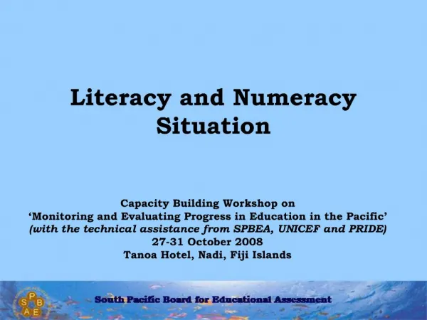 Literacy and Numeracy Situation
