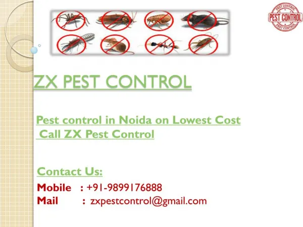 Eco-Friendly Pest Control for bed bugs in Noida - 10% off Call ZX Pest Control