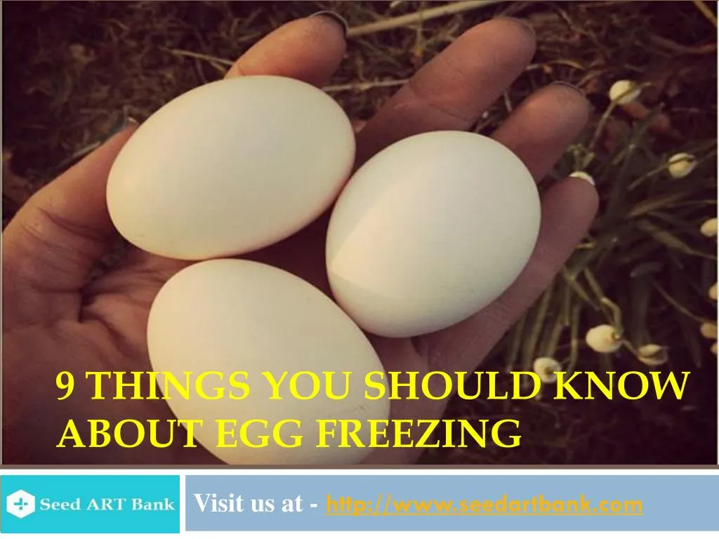 9 things you should know about egg freezing