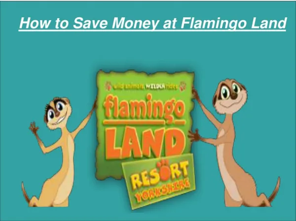 How to Save Money at Flamingo Land