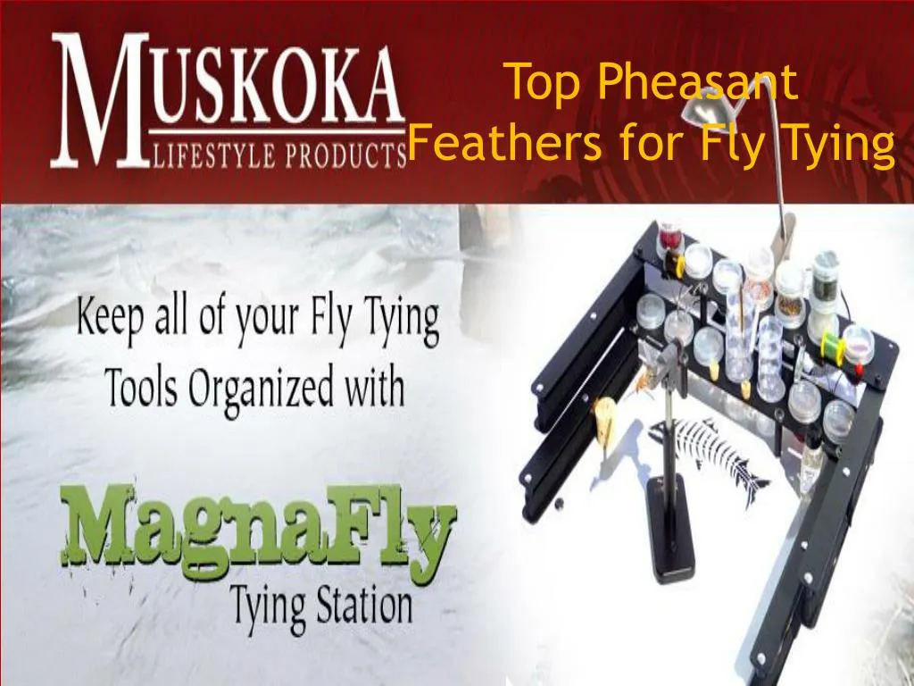 top pheasant feathers for fly tying