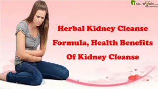Herbal Kidney Cleanse Formula, Health Benefits Of Kidney Cleanse