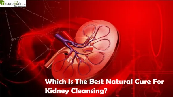 Which Is The Best Natural Cure For Kidney Cleansing?