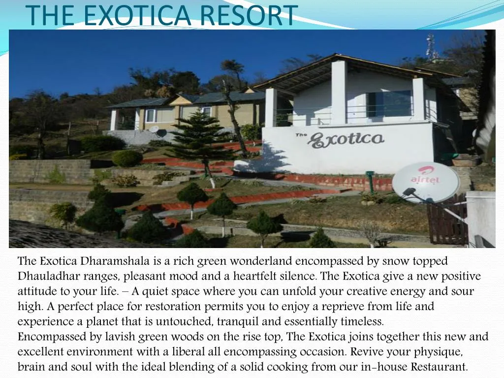 the exotica resort