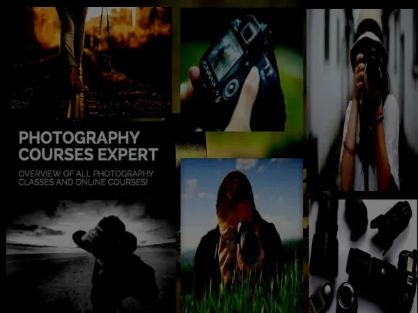 Browse photographycourses.expert to Become Professional Photographer