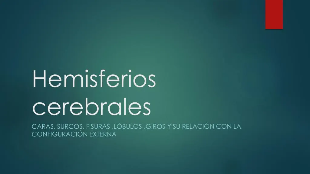 hemisferios cerebrales