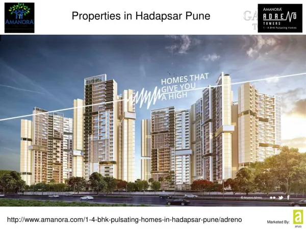 Properties in Hadapsar Pune