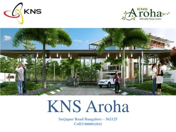 BDA Approval plots for saleKNS Aroha
