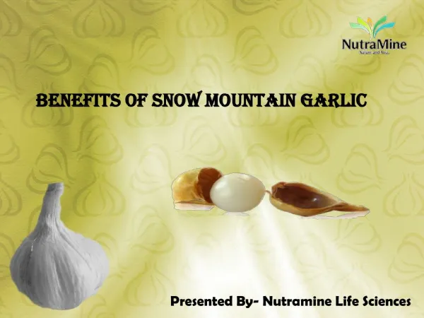 Benefits of Snow Mountain Garlic