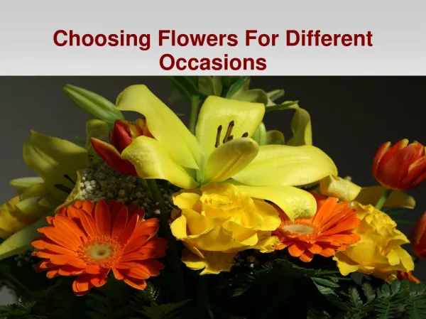 Choosing Flowers For Different Occasions