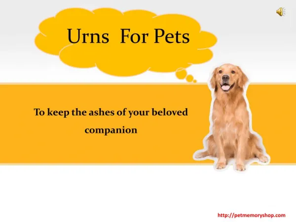 Varieties of Urns for Pets
