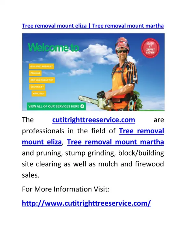 Tree removal mount eliza | Tree removal mount martha