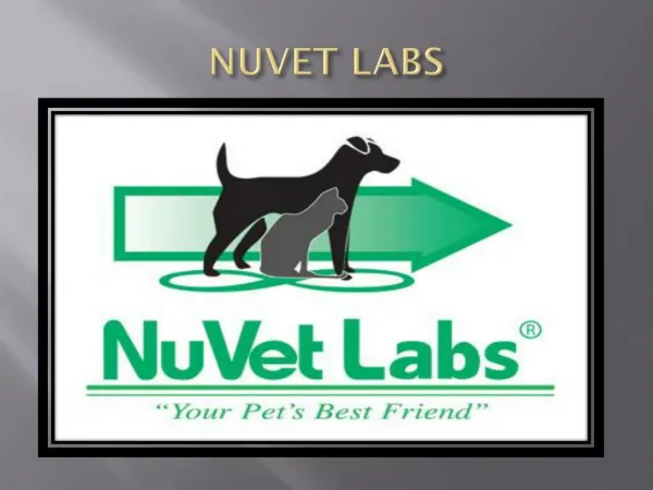 Nuvet Labs Reviews|Best Gear for Travel and Exercise with Your Dog