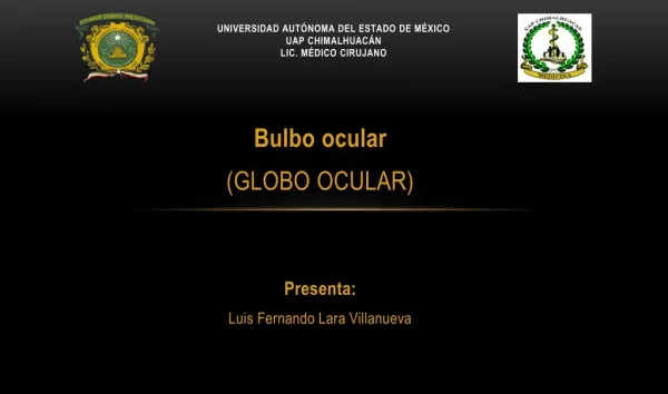 BULBO OCULAR