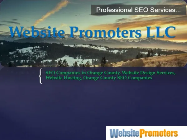 Website Design Services - www.websitepromoters.com