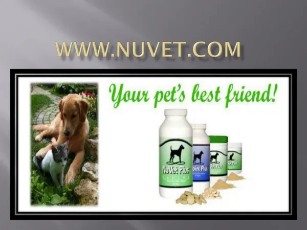 NuVet Reviews: Dogs with Allergies See Relief with NuVet Plus