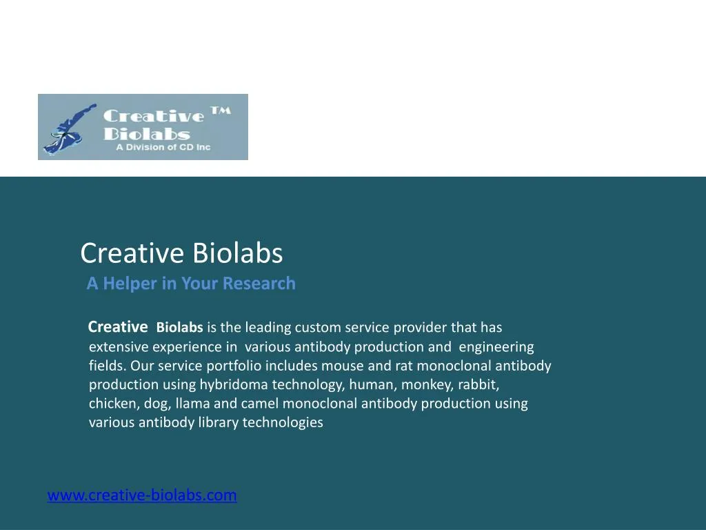 www creative biolabs com