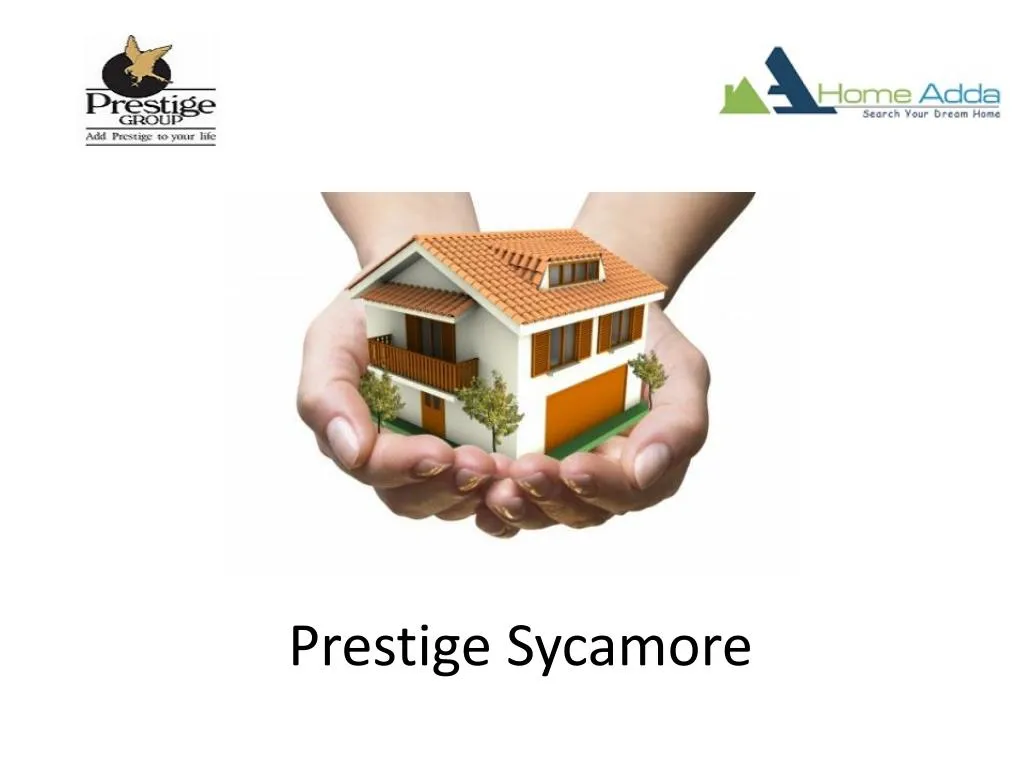 prestige sycamore