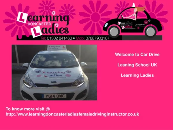 Experienced and Skilled Car Drive instructor